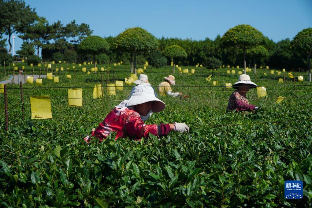 现金游戏注册送分